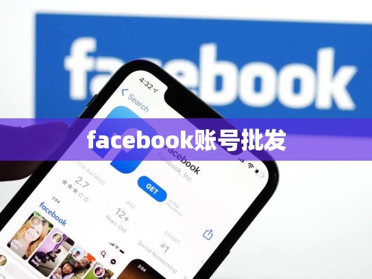 facebook账号批发