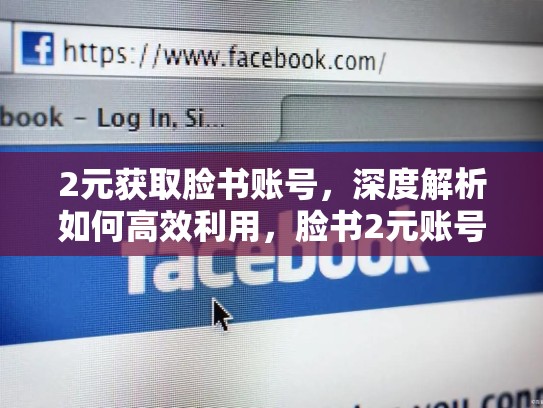2元获取脸书账号,深度解析如何高效利用,脸书2元账号购买安全吗