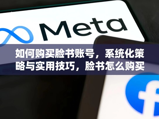 如何购买脸书账号,系统化策略与实用技巧,脸书怎么购买账号和密码