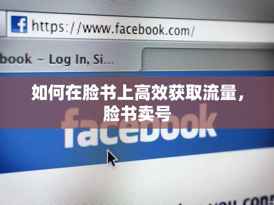 如何在脸书上高效获取流量,脸书卖号
