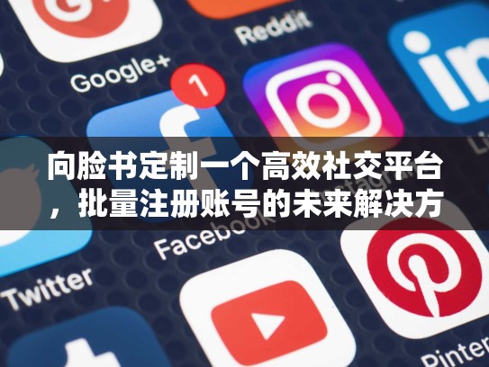 向脸书定制一个高效社交平台,批量注册账号的未来解决方案,脸书批量注册账号怎么弄
