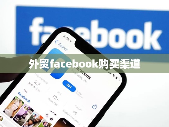 外贸facebook购买渠道