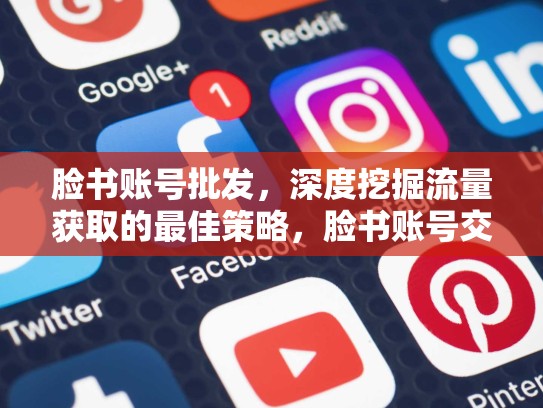 脸书账号批发，深度挖掘流量获取的最佳策略，脸书账号交易平台