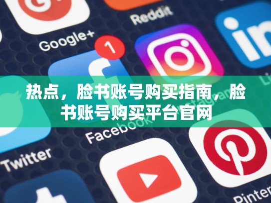 热点,脸书账号购买指南,脸书账号购买平台官网