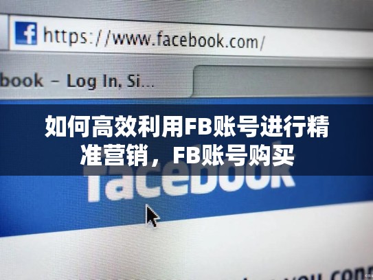 如何高效利用FB账号进行精准营销,FB账号购买