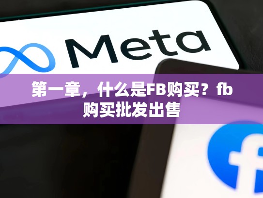 第一章,什么是FB购买?fb购买批发出售
