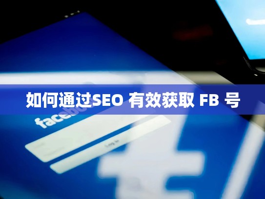如何通过SEO 有效获取 FB 号