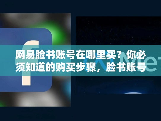 网易脸书账号在哪里买?你必须知道的购买步骤,脸书账号哪里可以买到