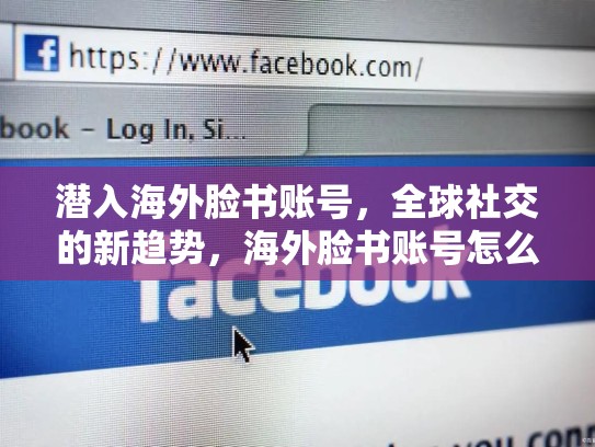 潜入海外脸书账号,全球社交的新趋势,海外脸书账号怎么注册