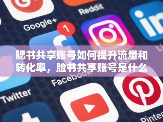 腮书共享账号如何提升流量和转化率，脸书共享账号是什么
