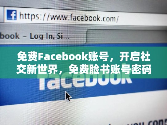 免费Facebook账号,开启社交新世界,免费脸书账号密码大全