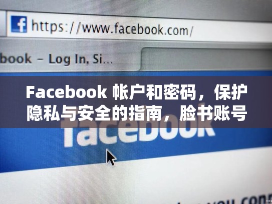 Facebook 帐户和密码,保护隐私与安全的指南,脸书账号和密码是什么
