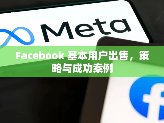 Facebook 基本用户出售，策略与成功案例