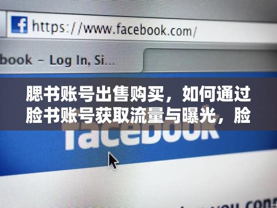 腮书账号出售购买,如何通过脸书账号获取流量与曝光,脸书账号出售购买流程