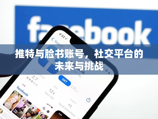 推特与脸书账号,社交平台的未来与挑战
