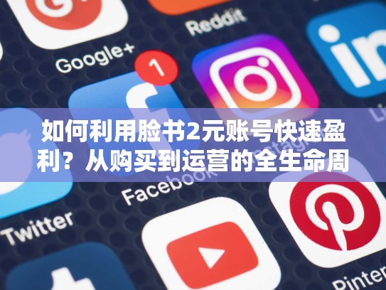 如何利用脸书2元账号快速盈利?从购买到运营的全生命周期攻略,脸书2元账号购买安全吗