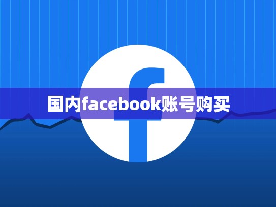 国内facebook账号购买