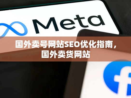 国外卖号网站SEO优化指南,国外卖货网站