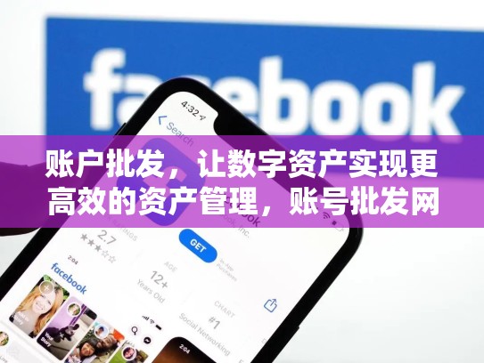 账户批发,让数字资产实现更高效的资产管理,账号批发网