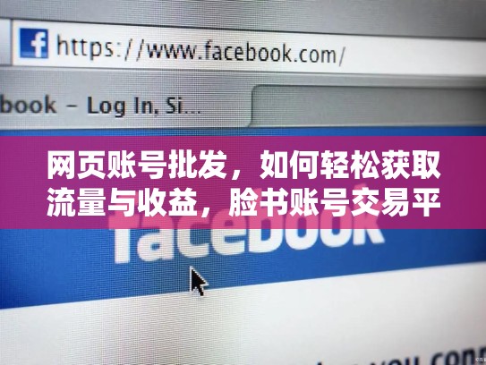 网页账号批发,如何轻松获取流量与收益,脸书账号交易平台