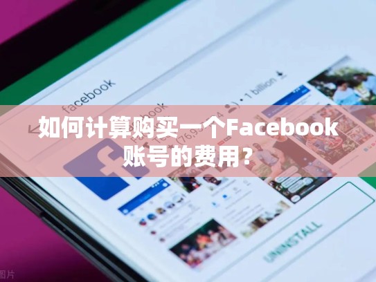 如何计算购买一个Facebook账号的费用?