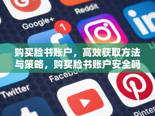 购买脸书账户，高效获取方法与策略，购买脸书账户安全吗
