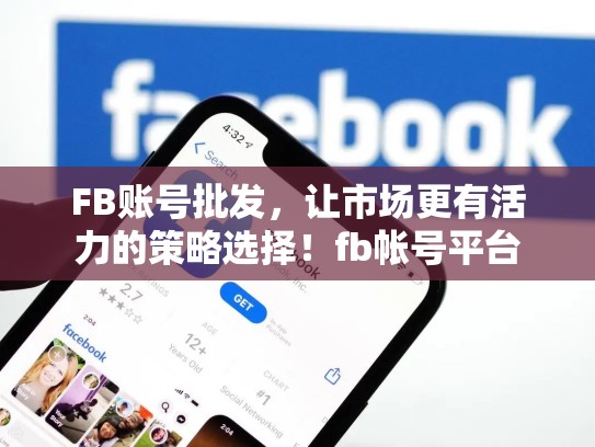 FB账号批发,让市场更有活力的策略选择!fb帐号平台