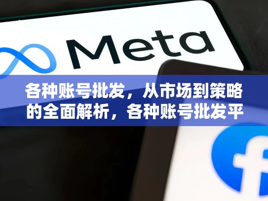 各种账号批发,从市场到策略的全面解析,各种账号批发平台
