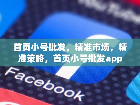 首页小号批发,精准市场,精准策略,首页小号批发app