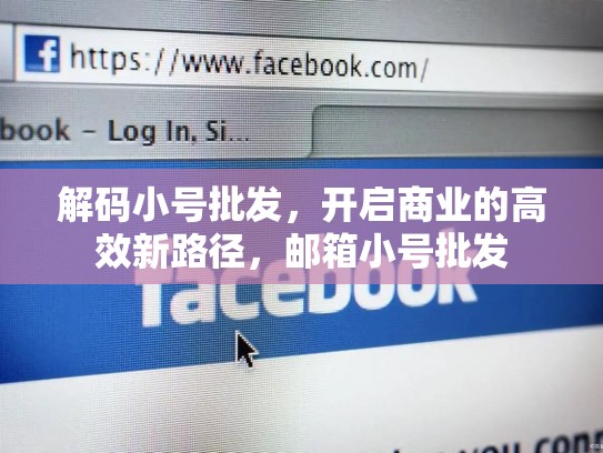 解码小号批发,开启商业的高效新路径,邮箱小号批发