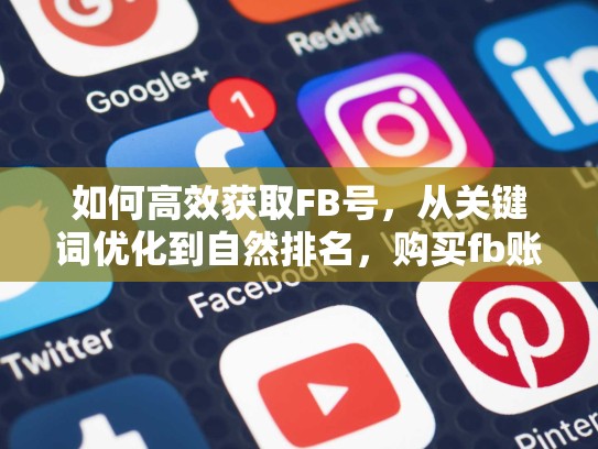 如何高效获取FB号,从关键词优化到自然排名,购买fb账号