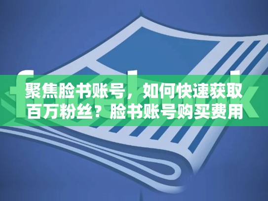 聚焦脸书账号,如何快速获取百万粉丝?脸书账号购买费用分析,脸书账号购买多少钱一个