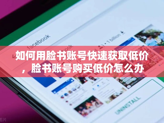 如何用脸书账号快速获取低价,脸书账号购买低价怎么办