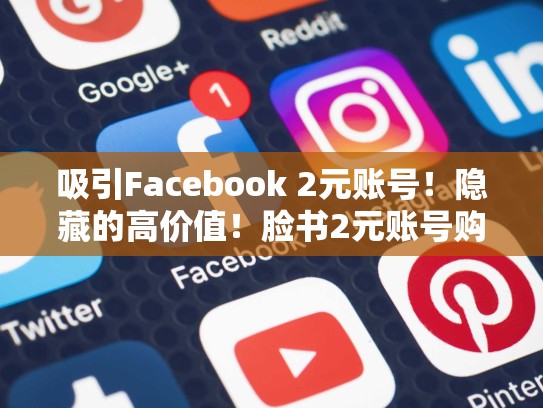 吸引Facebook 2元账号!隐藏的高价值!脸书2元账号购买安全吗
