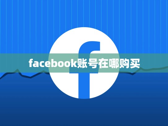 facebook账号在哪购买