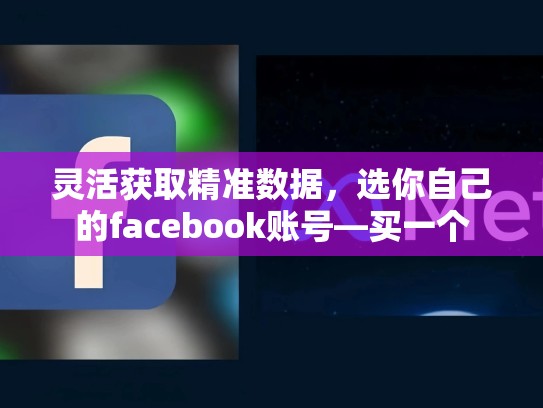 灵活获取精准数据,选你自己的facebook账号—买一个