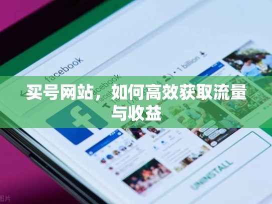 买号网站,如何高效获取流量与收益