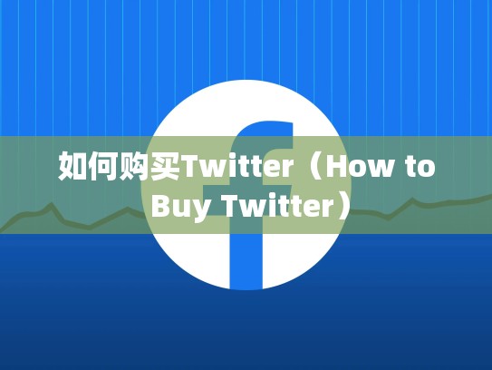 如何购买Twitter(How to Buy Twitter)