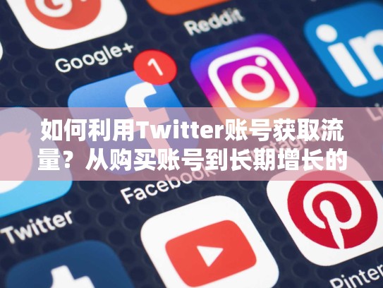 如何利用Twitter账号获取流量?从购买账号到长期增长的策略
