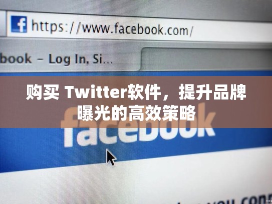 购买 Twitter软件,提升品牌曝光的高效策略