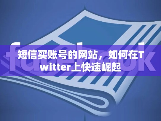 短信买账号的网站,如何在Twitter上快速崛起