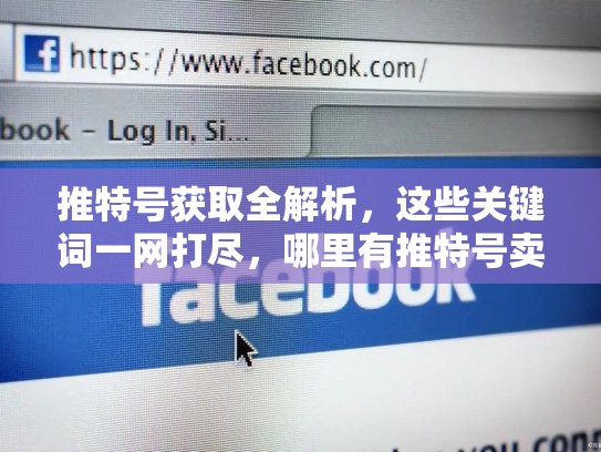 推特号获取全解析,这些关键词一网打尽,哪里有推特号卖