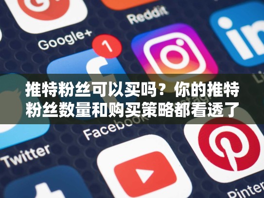 推特粉丝可以买吗?你的推特粉丝数量和购买策略都看透了!推特粉丝可以买吗安全吗