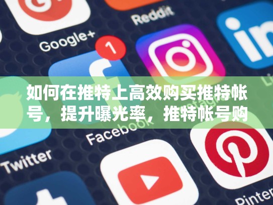 如何在推特上高效购买推特帐号,提升曝光率,推特帐号购买的钱在哪里