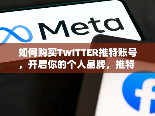 如何购买TwITTER推特账号,开启你的个人品牌,推特 买号