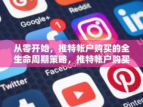 从零开始,推特帐户购买的全生命周期策略,推特帐户购买苹果