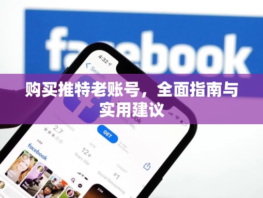 购买推特老账号,全面指南与实用建议