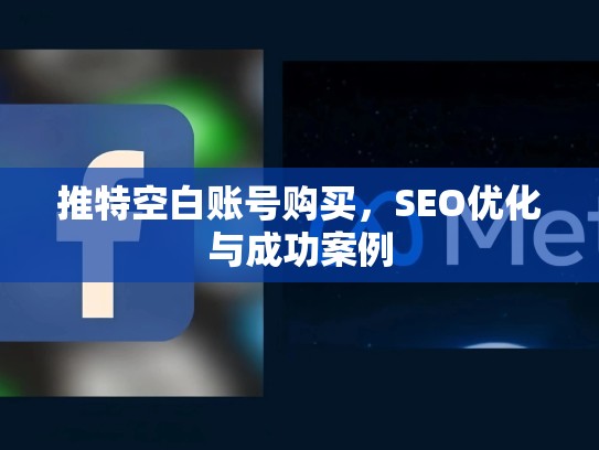 推特空白账号购买,SEO优化与成功案例