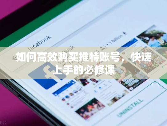 如何高效购买推特账号,快速上手的必修课