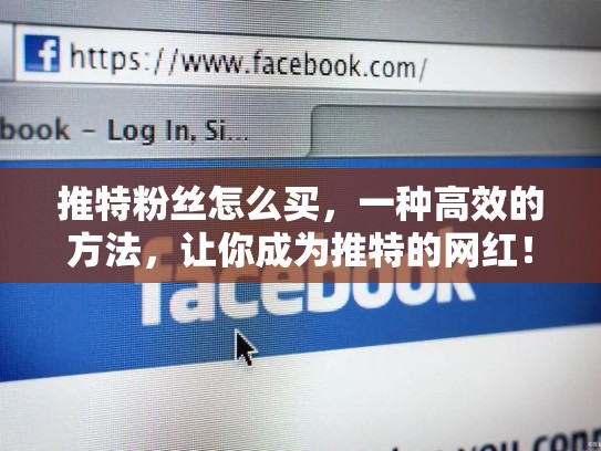 推特粉丝怎么买,一种高效的方法,让你成为推特的网红!推特粉丝怎么买便宜